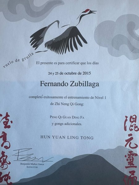 Certificado de Fernando Zubillaga: entrenamiento de Nivel 1 de Zhi Neng Qi Gong, 24 y 25 de octubre de 2015
